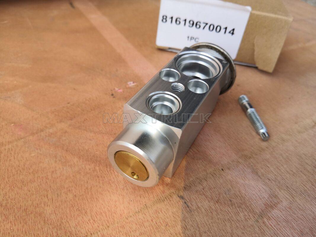 Expansion Valve,DAF,1331998,MAN,81619670014,Mercedes-Benz,0028300984,A0028300984